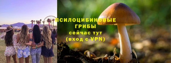 a pvp Белокуриха