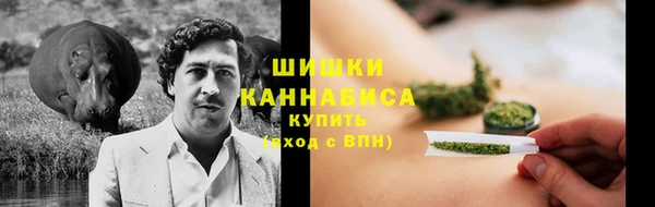 дживик Богородск