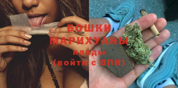дживик Богородск