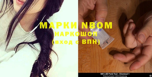 дживик Богородск